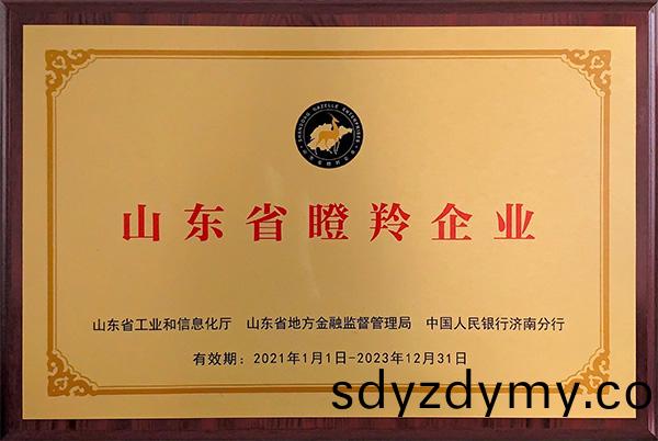 山東省(sheng)瞪羚(ling)企業(ye)