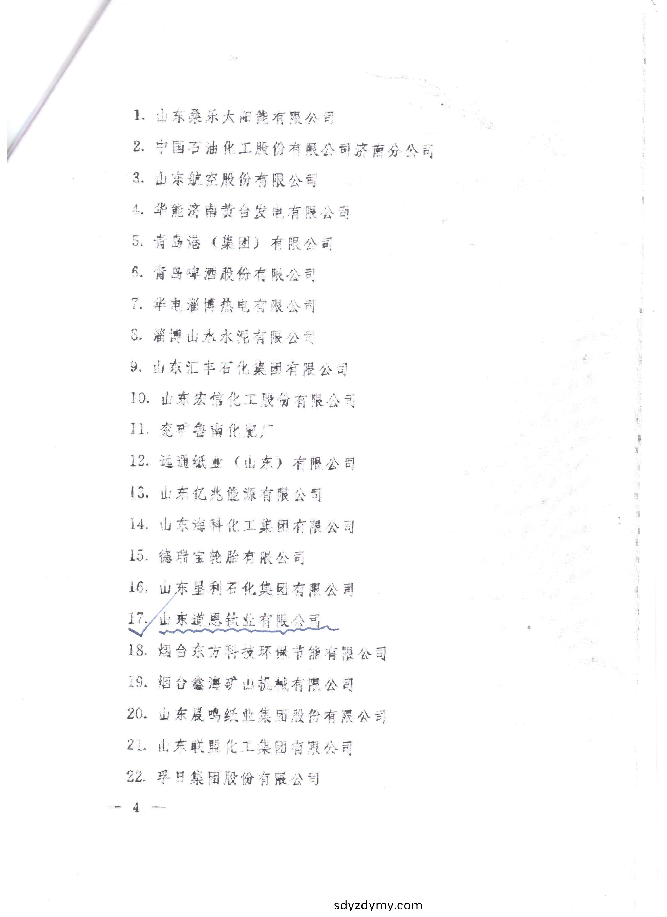 山(shan)東(dong)道(dao)恩(en)鈦(tai)業(ye)有(you)限(xian)公司(si)節(jie)能先進企(qi)業_4.png
